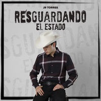 Resguardando El Estado