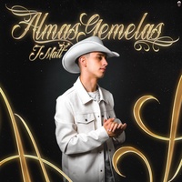 Almas Gemelas