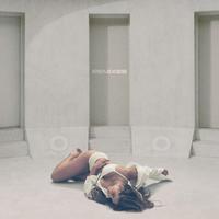 Revolving door (sped-up)