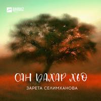 lеха йелла хилла со