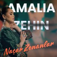 Naçar Zenanlar