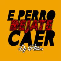 e perro dejate caer