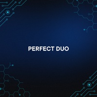 PERFECT DUO