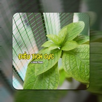Cuối Tuần Vui Vẻ