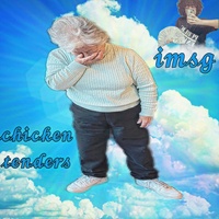 Chicken Tenders