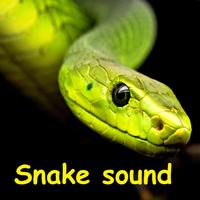Exotic Snake Hissing Sound