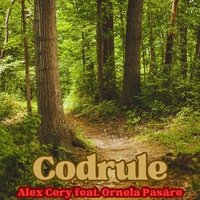 Codrule (Remake)