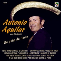 Un Puño De Tierra