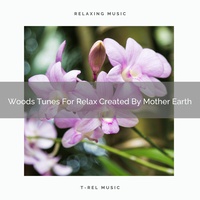 Nature Sings With Cicadas And Birds In The Woods