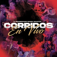 Soy Mencho (Live)