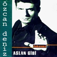 Aslan Gibi