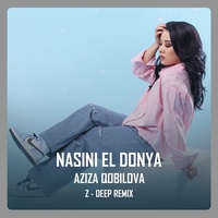 Nasini El Donya ( Z - DEEP Remix) - نسينى الدنيا ( Z - DEEP Remix)