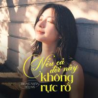 Nếu Cả Đời Này Không Rực Rỡ