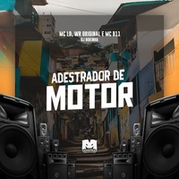 Adestrador de Motor