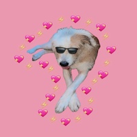 Perros Pegaos