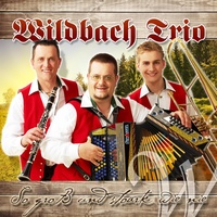 Wildbach Trio Hitmedley - Version 2013