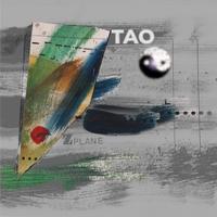 Tao24-Fu