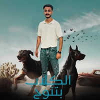 الكلاب بتنوح