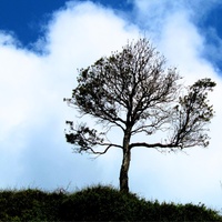Sad Sadness (Piano & Orchestra) - Melancholic Music Sentimental Emotional Instrumental Love Song