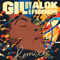 Palco - Alok & Watzgood Remix