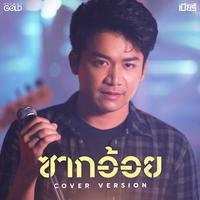 ซากอ้อย (Cover Version)