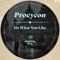 Do What You Like
