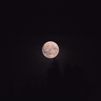 Lingering Moon