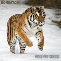 Pse Po Rren