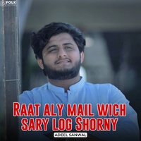 Raat Aly Mail Wich Sary Log Shorny