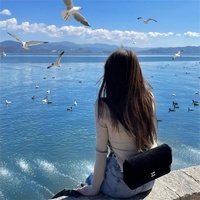 EI EI(Diary)