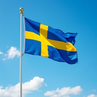 Lösa Tjejer Från Vetlanda Official Remix