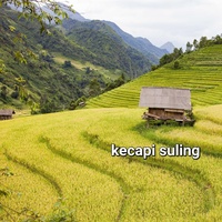 Kecapi Suling