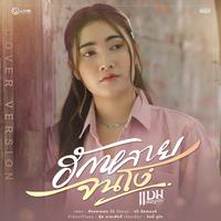 ฮักหลายจนโง่ (Cover Version)