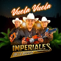Huapango Norteño (2024 Remastered Version)