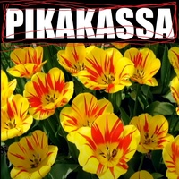 Näytän paskalta