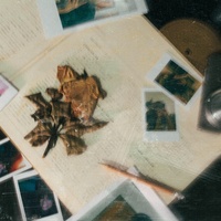 ขอให้ไม่จากลา (You’re Gone)