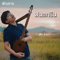 พิณลายฝนตกริน