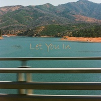 Let You In