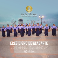 Eres Digno de Alabarte