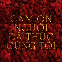 Cảm Ơn Người Đã Thức Cùng Tôi