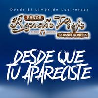 Desde Que Tu Apareciste - Sencillo