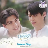 Never Say - From Love in The Air