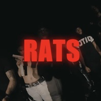Rats