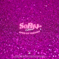Sorry (Sped up)