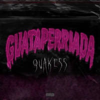 GUATAPERRIADA