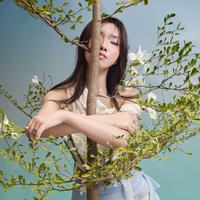 Điệu Nhảy Của Giấc Mơ