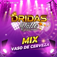 MIX VASO DE CERVEZA