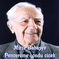 Pencereme Qondu Cicek
