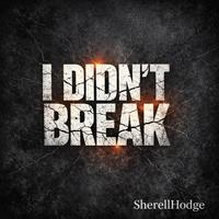 I Didn't Break