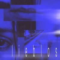 lieblos - Slowed